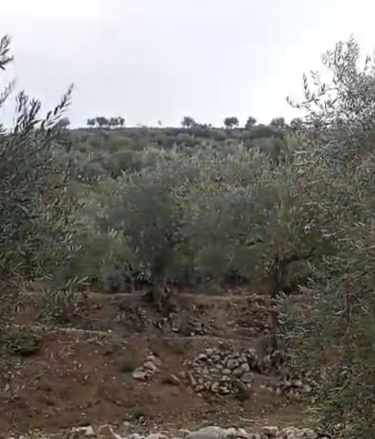 Land with a mountain view for sale in Koura