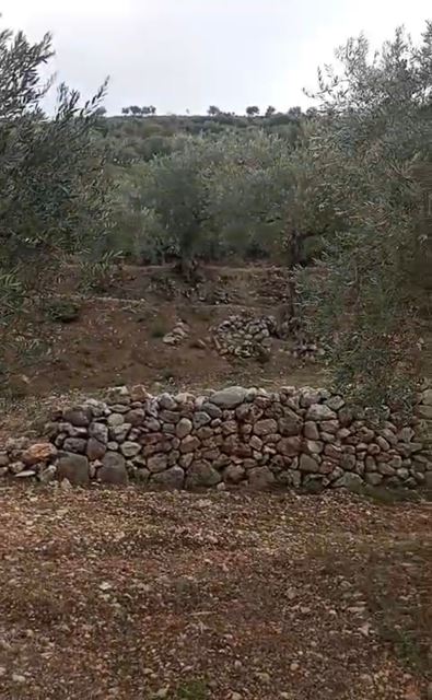 أرض بإطلالة على الجبل للبيع في الكورة - صورة 2