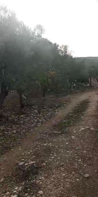 أرض بإطلالة على الجبل للبيع في الكورة - صورة 3