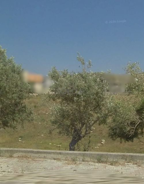 أرض للبيع في شكا، البترون - صورة 2