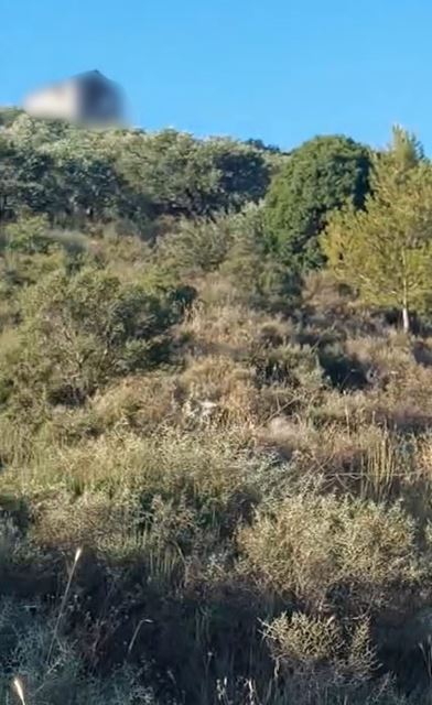 Land for sale in Koura - photo 2