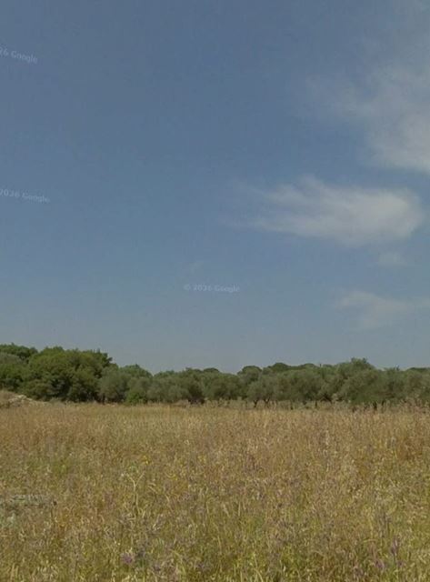 Land with a mountain view for sale in Bterram, Koura