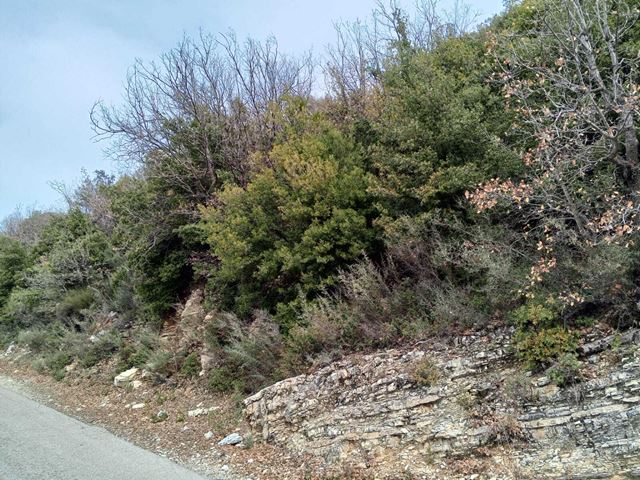 Sea-view land for sale in Mechmech, Jbeil