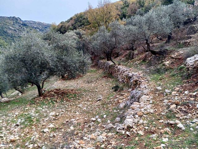 أرض بإطلالة على الجبل للبيع في اسيا، البترون