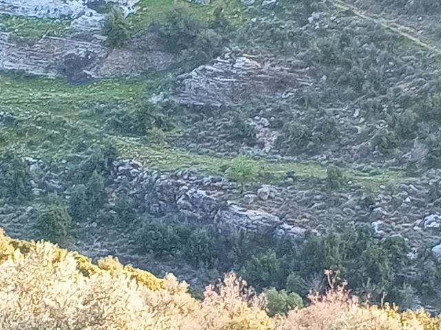 أرض بإطلالة على الجبل للبيع في اسيا، البترون - صورة 2