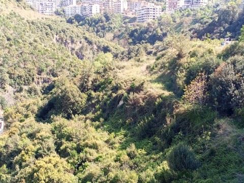 Land for sale in Zouk mikhayel, Keserwan - photo 2