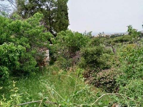 Land for sale in Batroun - photo 2