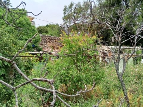 Land for sale in Batroun - photo 3