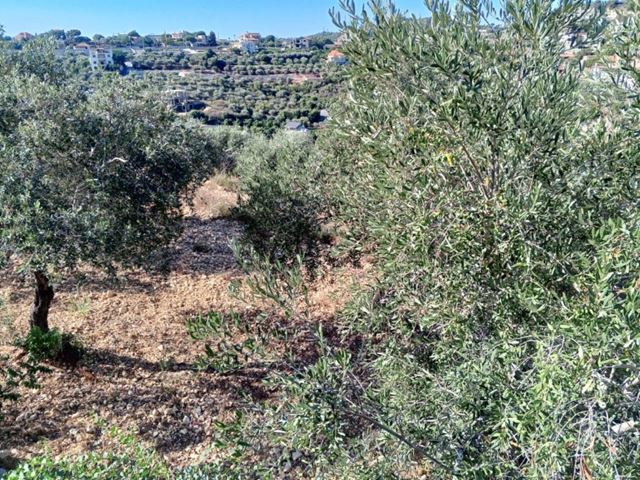 Land for sale in Batroun - photo 2