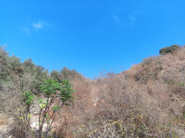 Sea-view land for sale in Batroun - photo 2