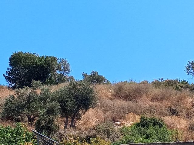 Sea-view land for sale in Batroun - photo 3
