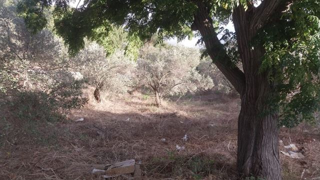 أرض للبيع في بترون