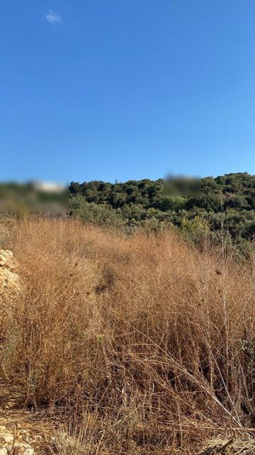 Sea-view land for sale in Batroun - photo 3