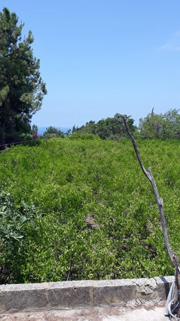 Land with a mountain view for sale in Batroun - photo 2