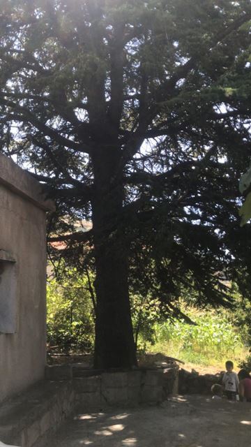 House for sale in Batroun - photo 2