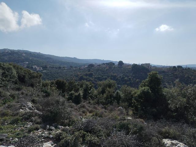 Land for sale in Batroun - photo 2