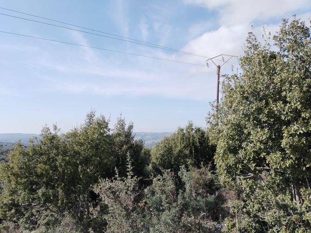 Land for sale in Batroun - photo 3