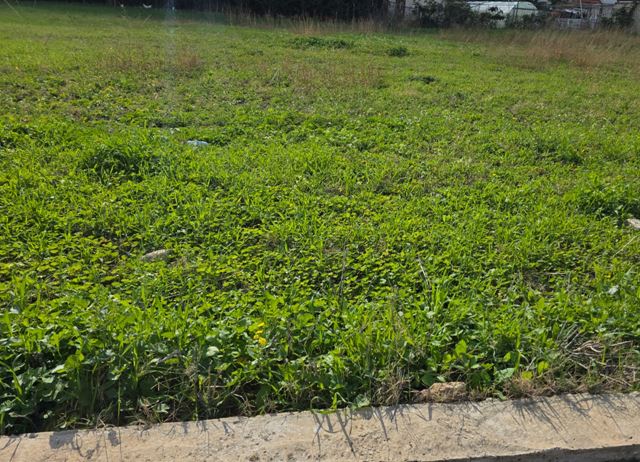Land with a mountain view for sale in Chekka, Batroun - photo 2
