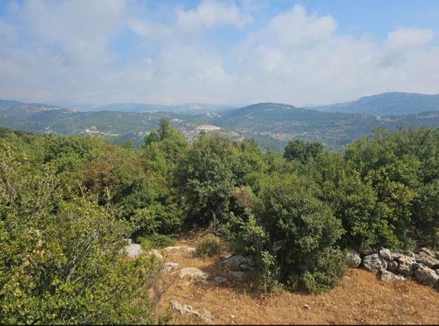Land with a mountain view for sale in Batroun