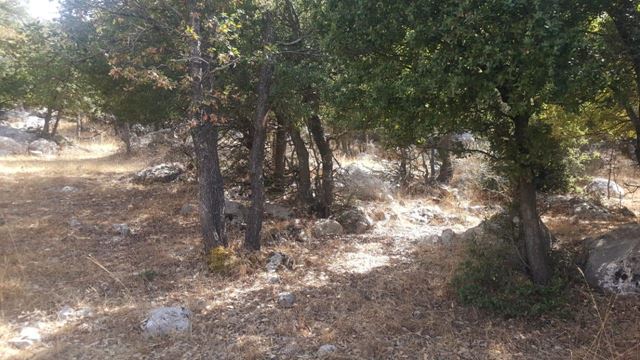 Land with a mountain view for sale in Tarchich, Baabda - photo 2