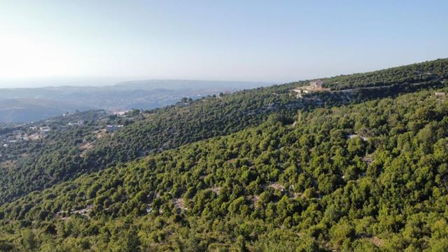 Land for sale in Batroun - photo 2