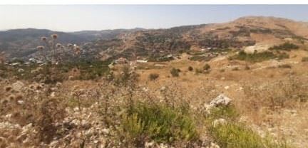 أرض بإطلالة على الجبل للبيع في حراجل، كسروان - صورة 2