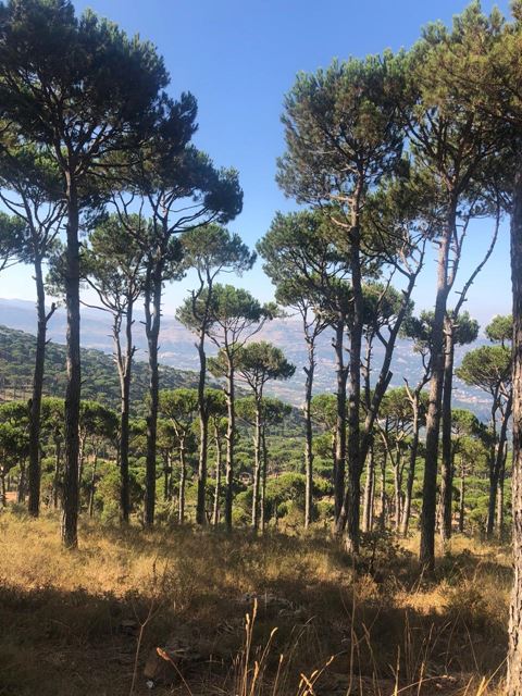 Land with a mountain view for sale in Naas, Metn - photo 2