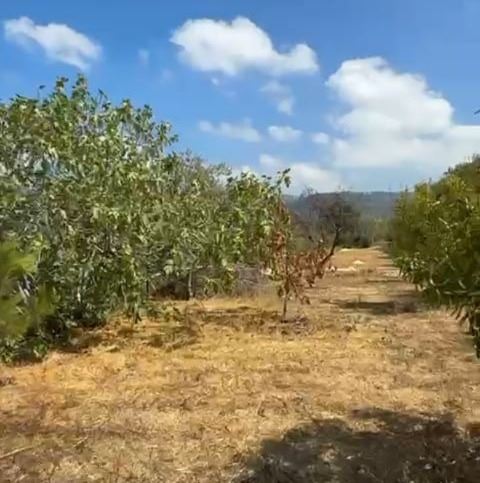 أرض بإطلالة على الجبل للبيع في عرباني، بعبدا