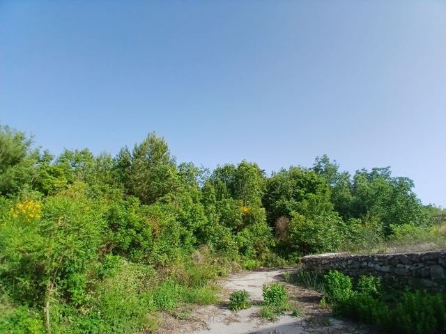 Land with a mountain view for sale in Azra, Keserwan - photo 2