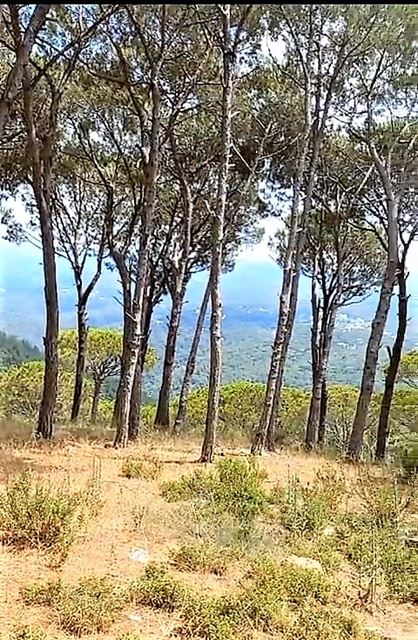 أرض بإطلالة على الجبل للبيع في برمانا، المتن