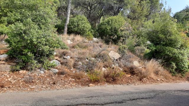 أرض بإطلالة على الجبل للبيع في برمانا، المتن