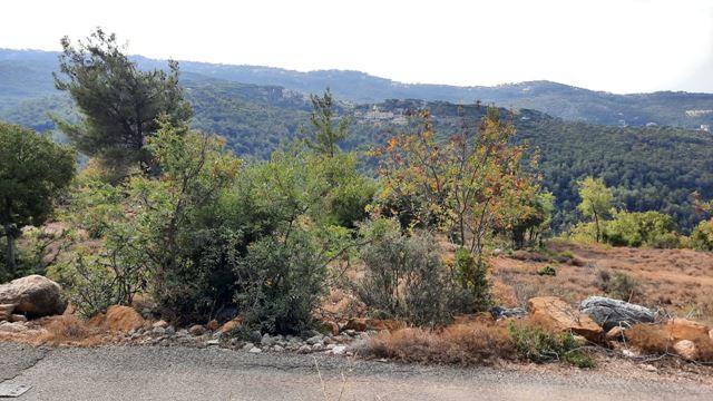 أرض بإطلالة على الجبل للبيع في برمانا، المتن