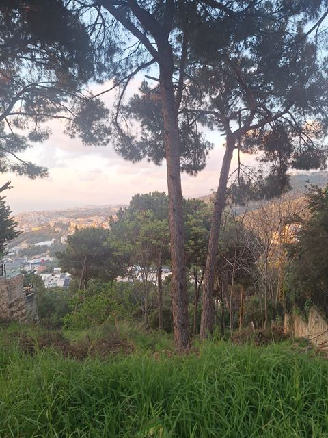 Sea-view land for sale in Ain Saade, Metn - photo 2