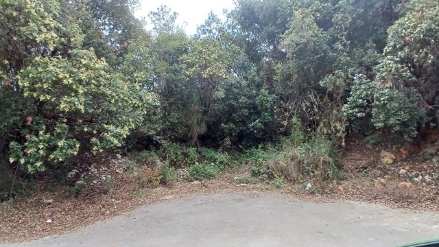 Land for sale in Sehayli, Keserwan