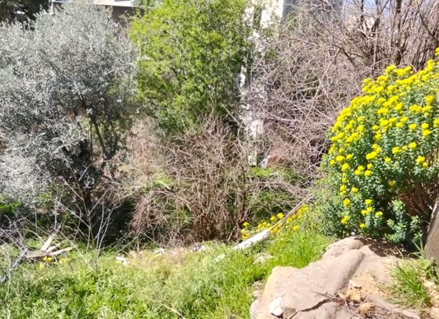 House for sale in Basatine, Aley
