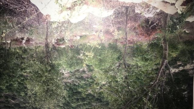 Land for sale in Batroun