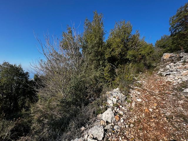 Sea-view land for sale in Ghosta, Keserwan - photo 3