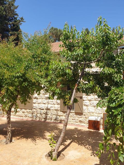 Villa for sale in Aabediyeh, Aley - photo 3