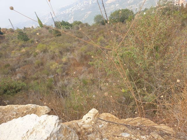 أرض بإطلالة على الجبل للبيع في عبديه، عاليه