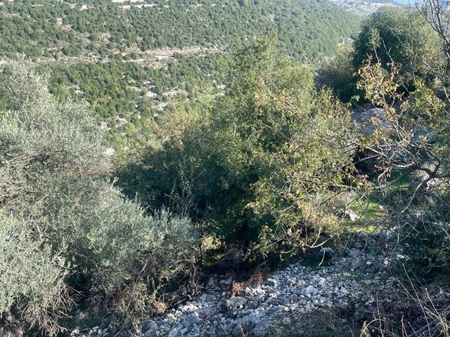 أرض بإطلالة على الجبل للبيع في راس اسطة، جبيل - صورة 2