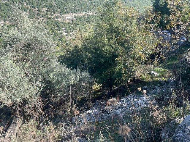 أرض بإطلالة على الجبل للبيع في راس اسطة، جبيل - صورة 3