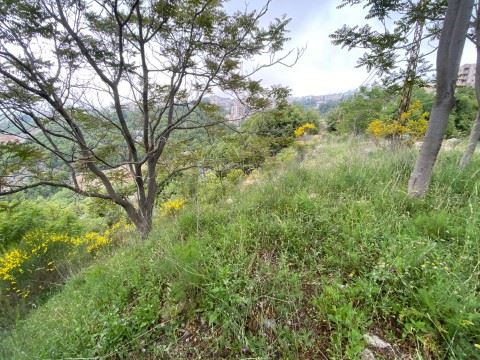 Land for sale in Klayaat, Keserwan - photo 3