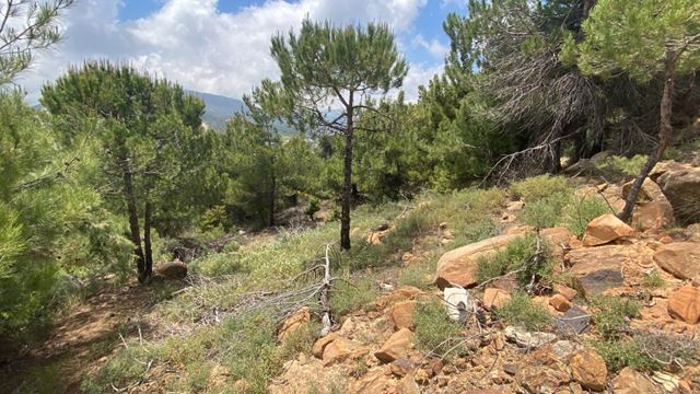 أرض بإطلالة على الجبل للبيع في قناة باكيش، كسروان