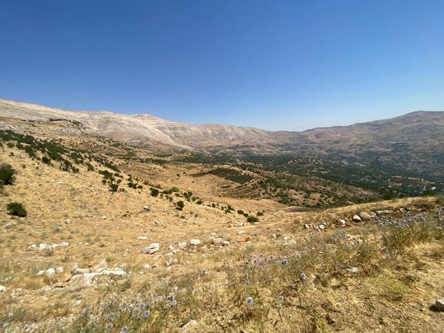 أرض بإطلالة على الجبل للبيع في فقرة، كسروان - صورة 2