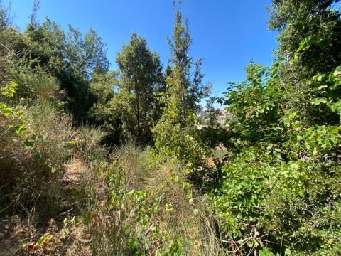 Land with a mountain view for sale in Mayrouba, Keserwan - photo 2