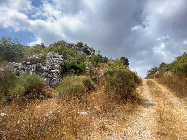 Land with a mountain view for sale in Faytroun, Keserwan - photo 2