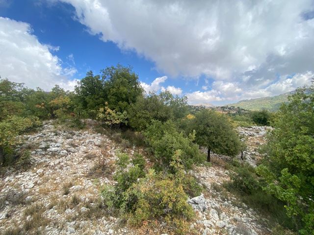 Land with a mountain view for sale in Faytroun, Keserwan - photo 2