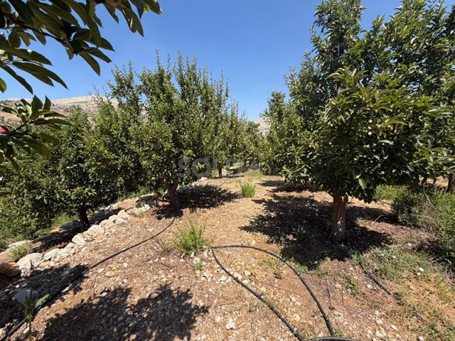 Land for sale in Kfarzebian, Keserwan - photo 2