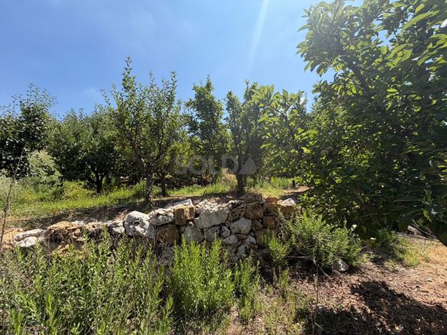 Land for sale in Kfarzebian, Keserwan - photo 3
