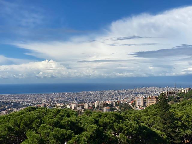 Land for sale in Monteverde, Metn